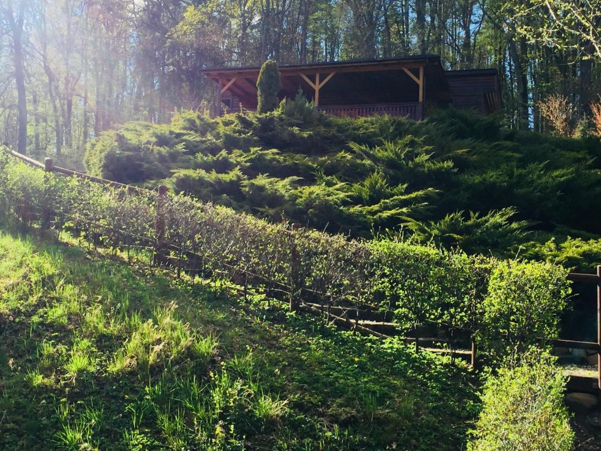 Domek Letniskowy "Domek W Zieleni" Kaszuby Lapino Bagian luar foto